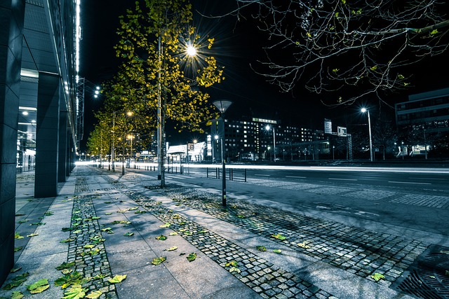 街路樹が街灯の代わりになる。
